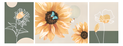 #FN33004 Sunflower Study